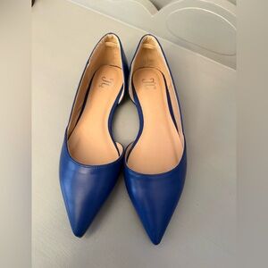 Elegant Blue Women's Pointed Toe Flats